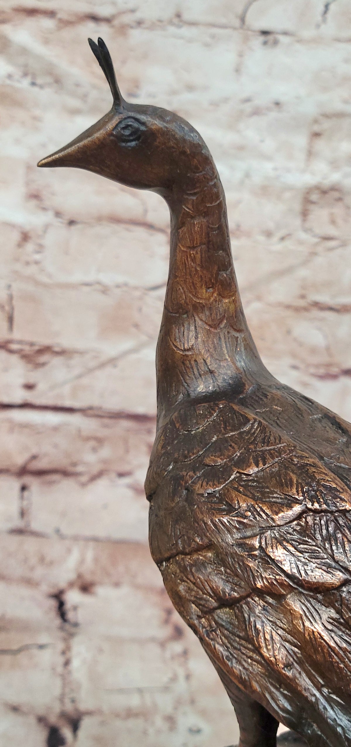 100% Pure Bronze Copper exquisite Carve peacock peafowl Bird Art statuary Figure