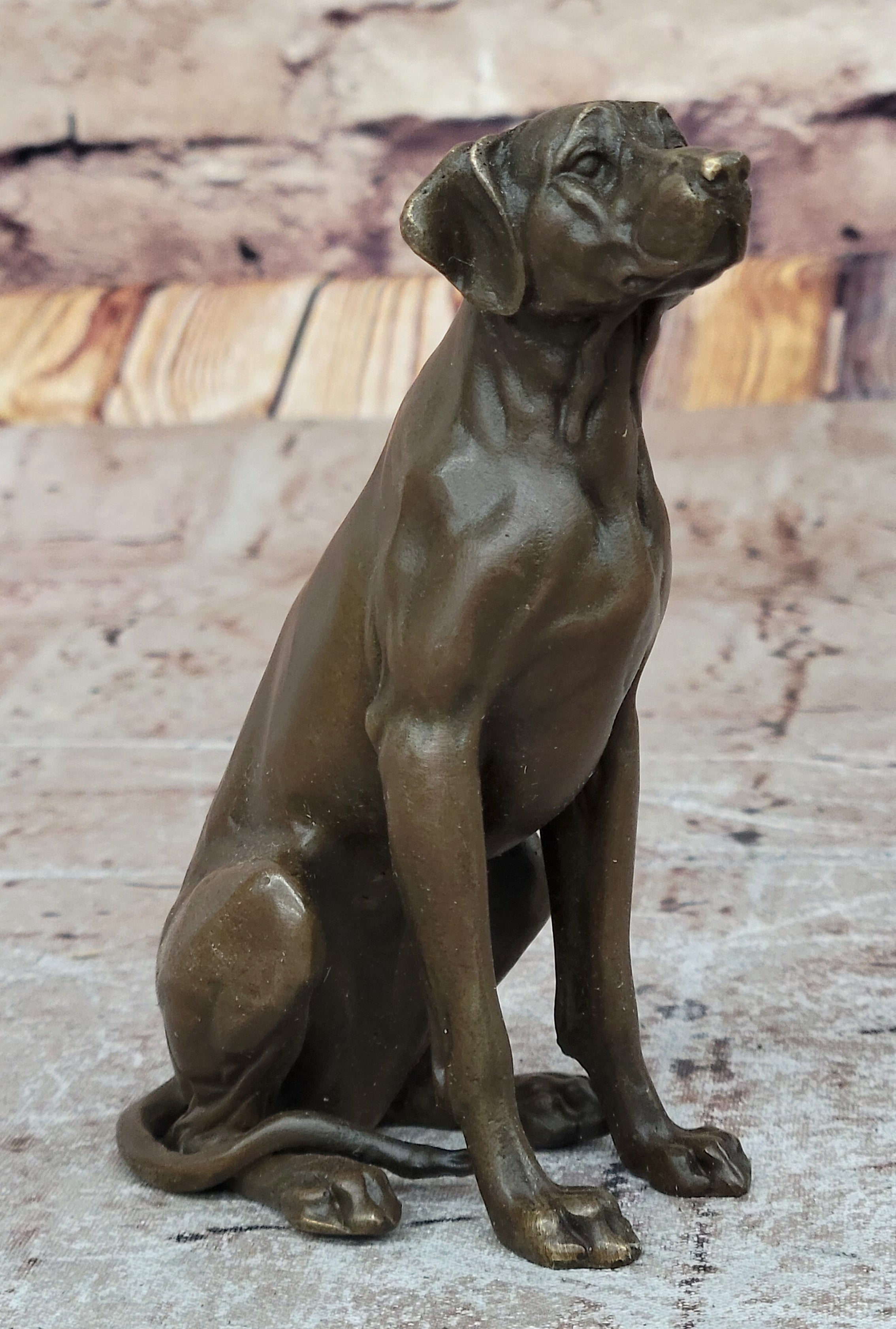 Hot Cast Bronze Hunting Dog Figurine - Seated Labrador Retriever - Paperweight Decor