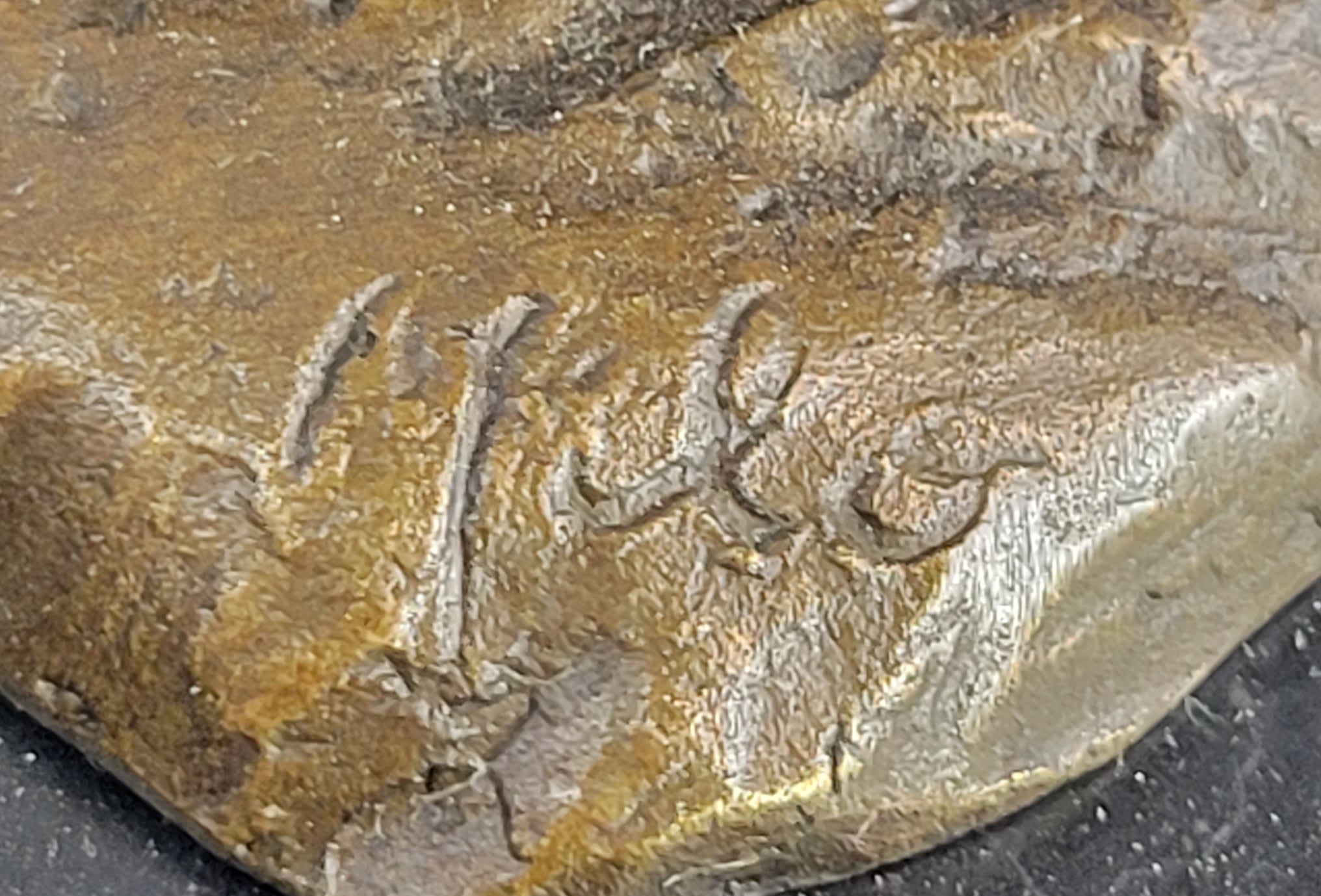 Thomas Jefferson Solid Bronze Statue – Authentic Home & Office Decor