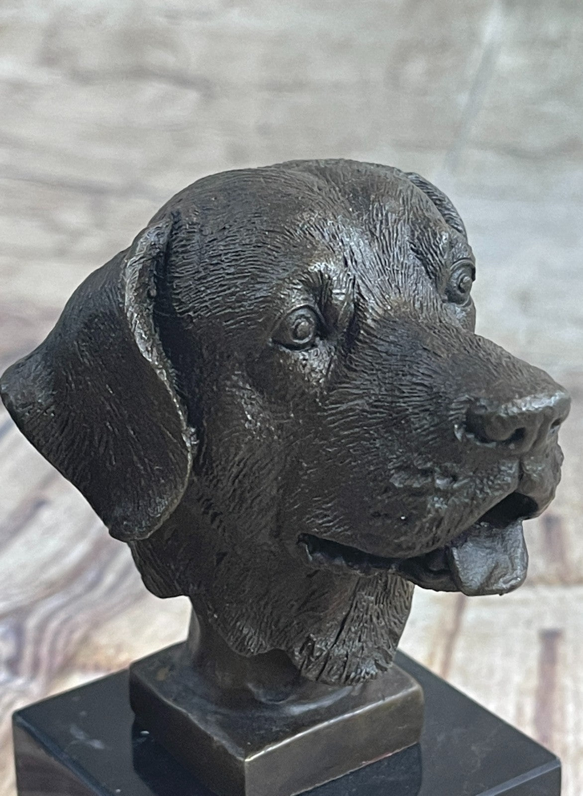 Handcrafted bronze sculpture SALE Book Base Marble Bust Head Retriever Labrador