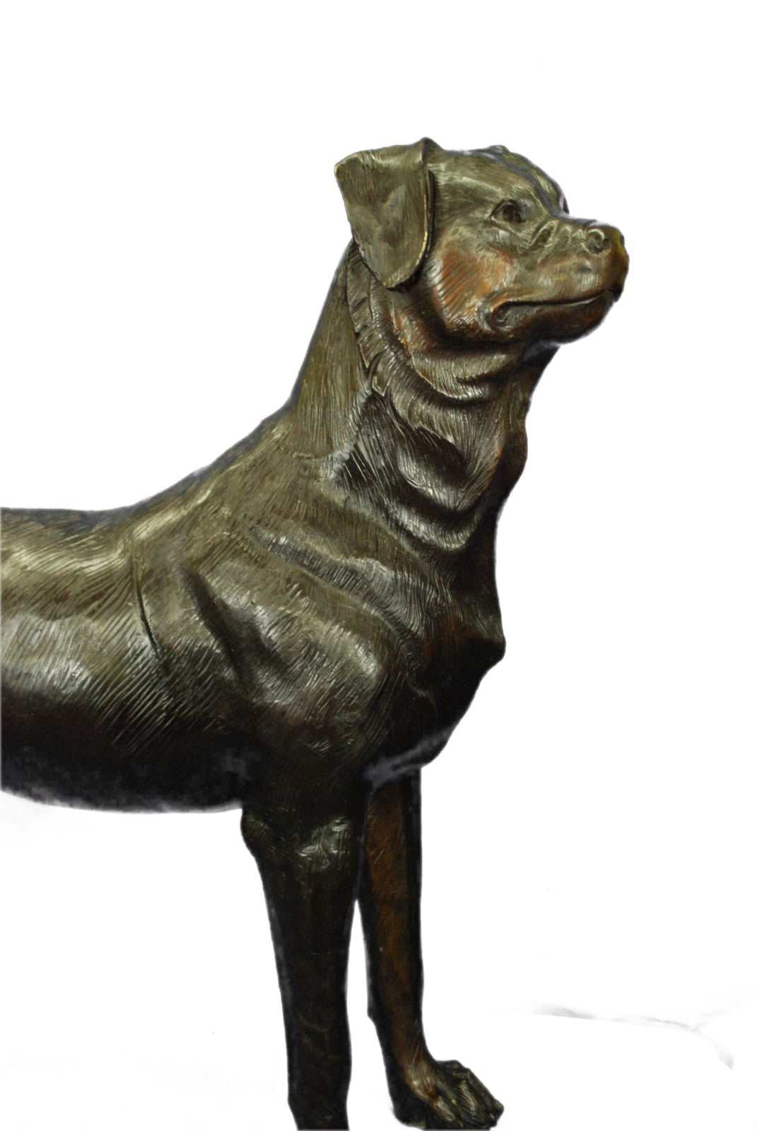 Rottweiler Dog Sculpture Hot Cast Bronze Statue Ornament Figurine Home Decor Art