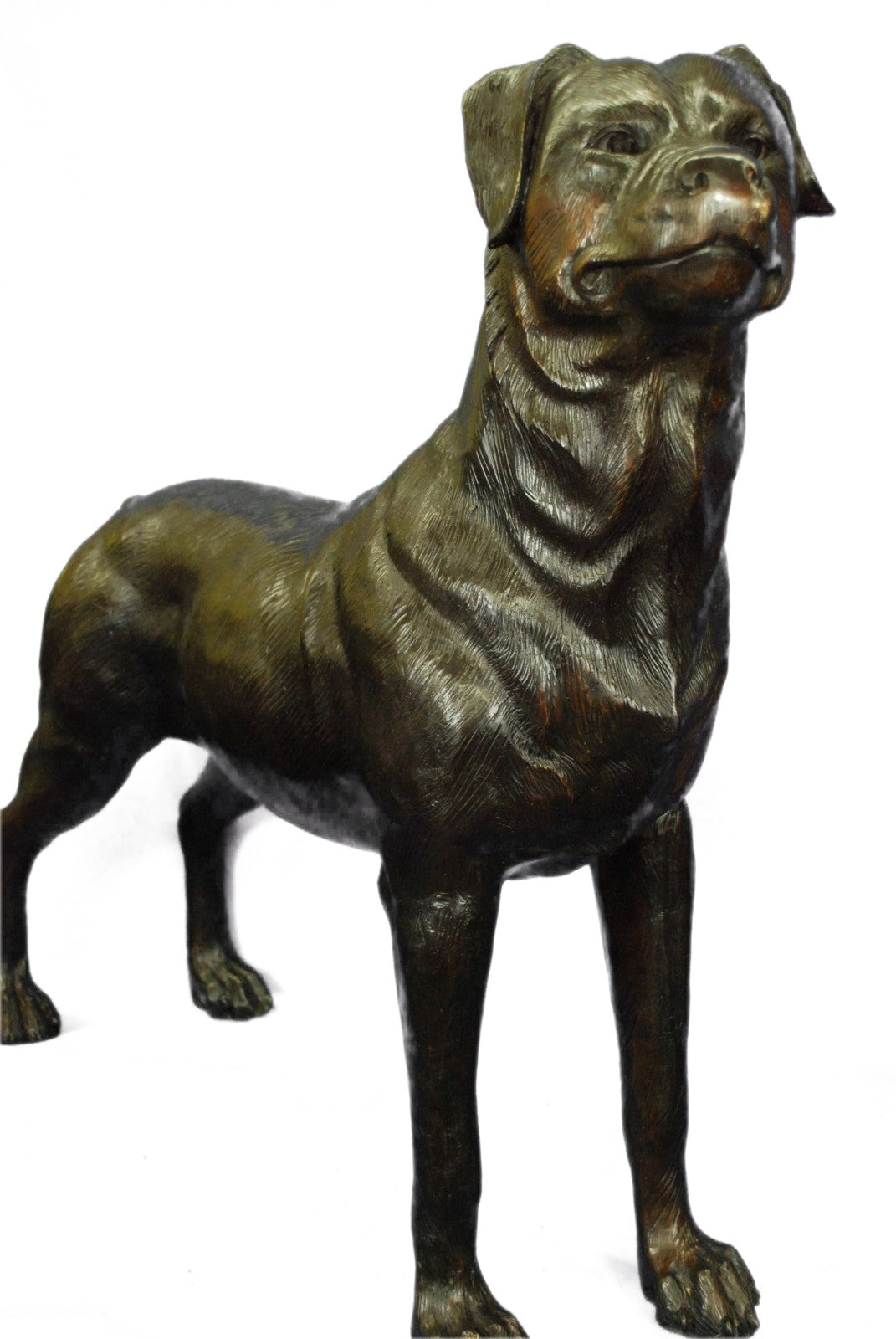 Rottweiler Dog Sculpture Hot Cast Bronze Statue Ornament Figurine Home Decor Art