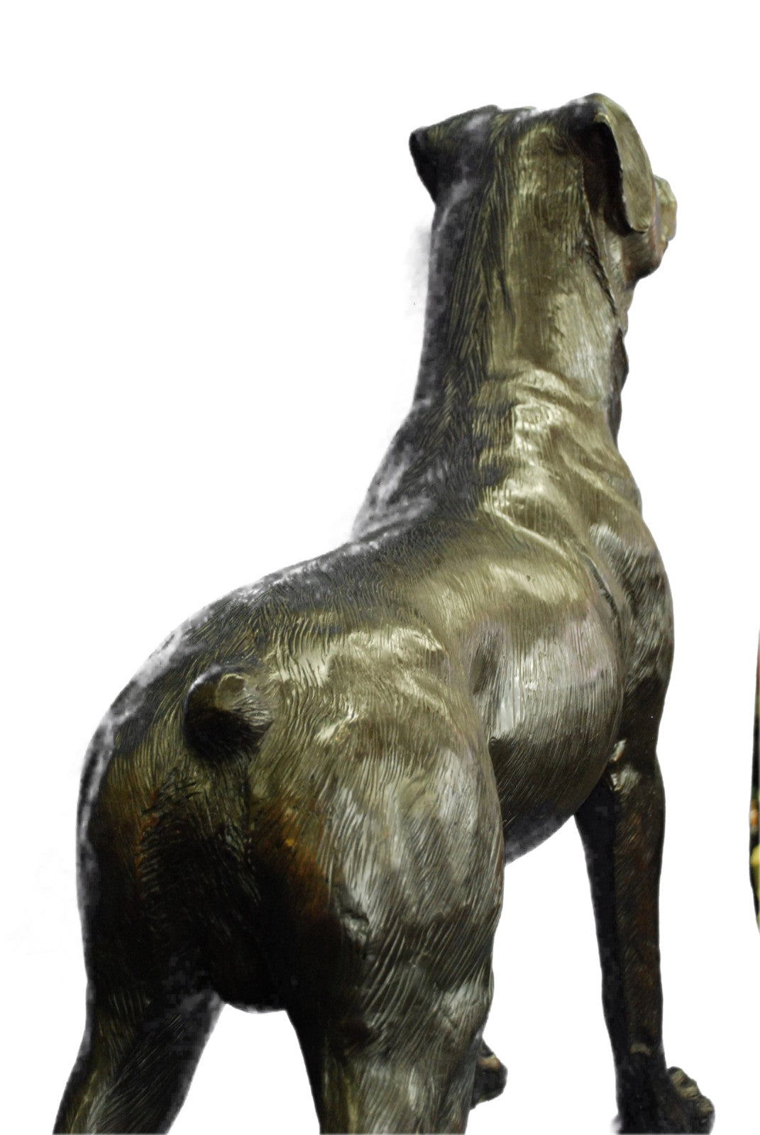 Rottweiler Dog Sculpture Hot Cast Bronze Statue Ornament Figurine Home Decor Art