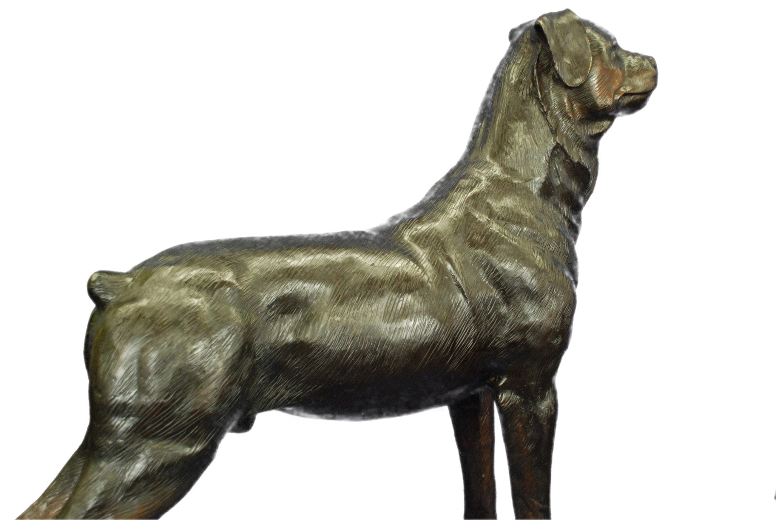 Rottweiler Dog Sculpture Hot Cast Bronze Statue Ornament Figurine Home Decor Art