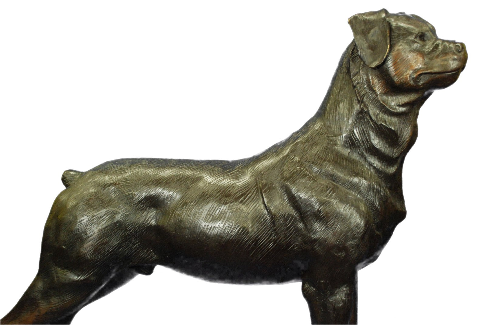 Rottweiler Dog Sculpture Hot Cast Bronze Statue Ornament Figurine Home Decor Art
