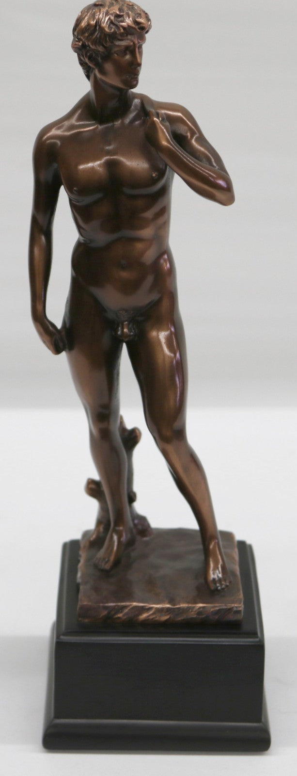 David By artist Michelangelo (1475-1564), in the Galleria dell` Academia, Florence