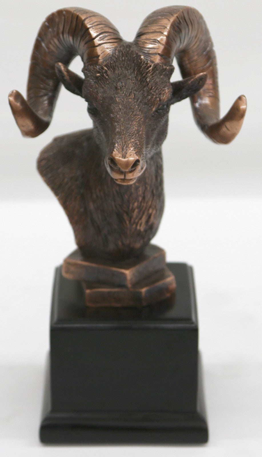 10" Bronze Resin Ram Goat Head w/ Horns - Pedestal Statue Bust Black Stand