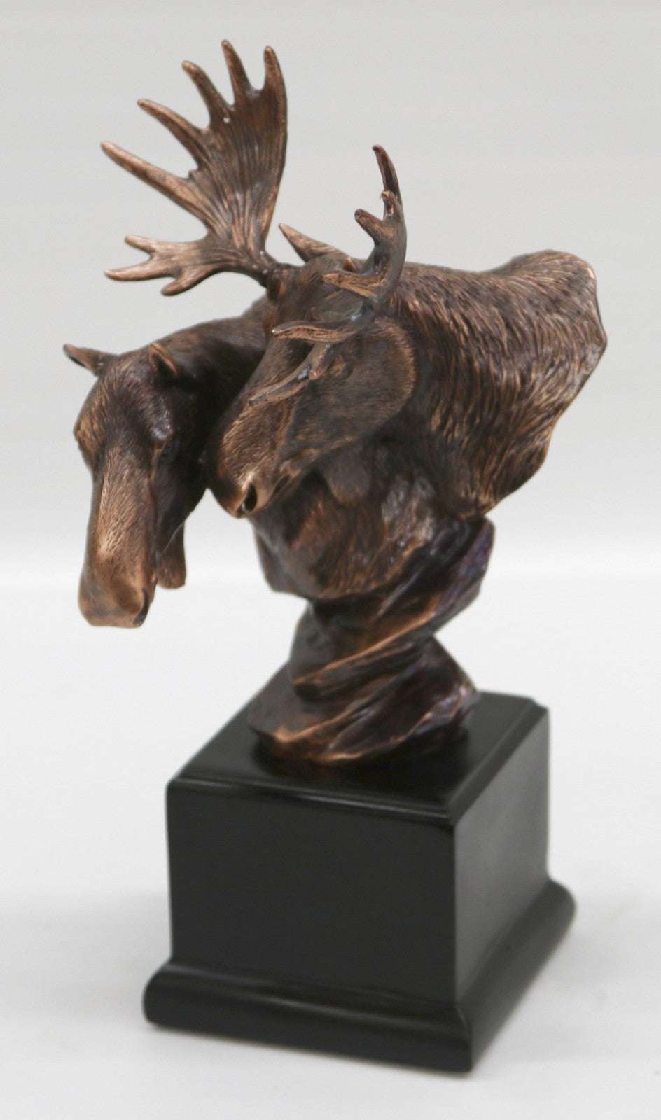 North American Majestic Moose Trophy Head Desk Sculpture by European Finery