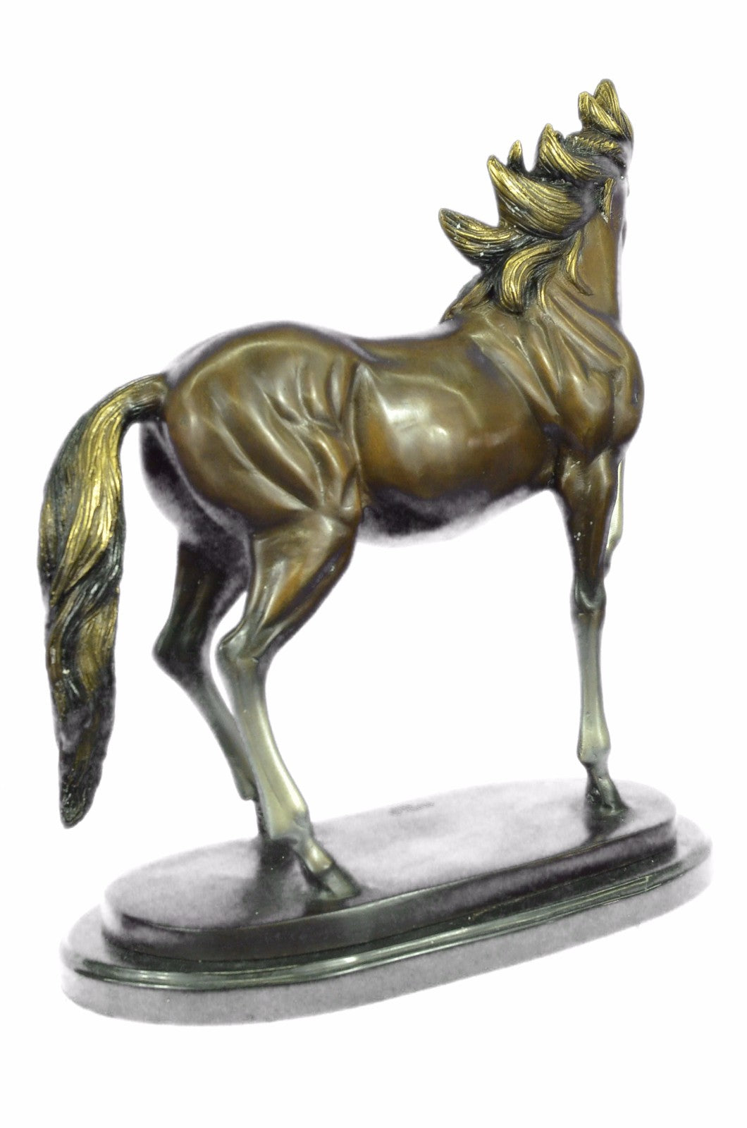 Limited Collector Edition Signed Original Stallion Arabian Racing Horse Bronze