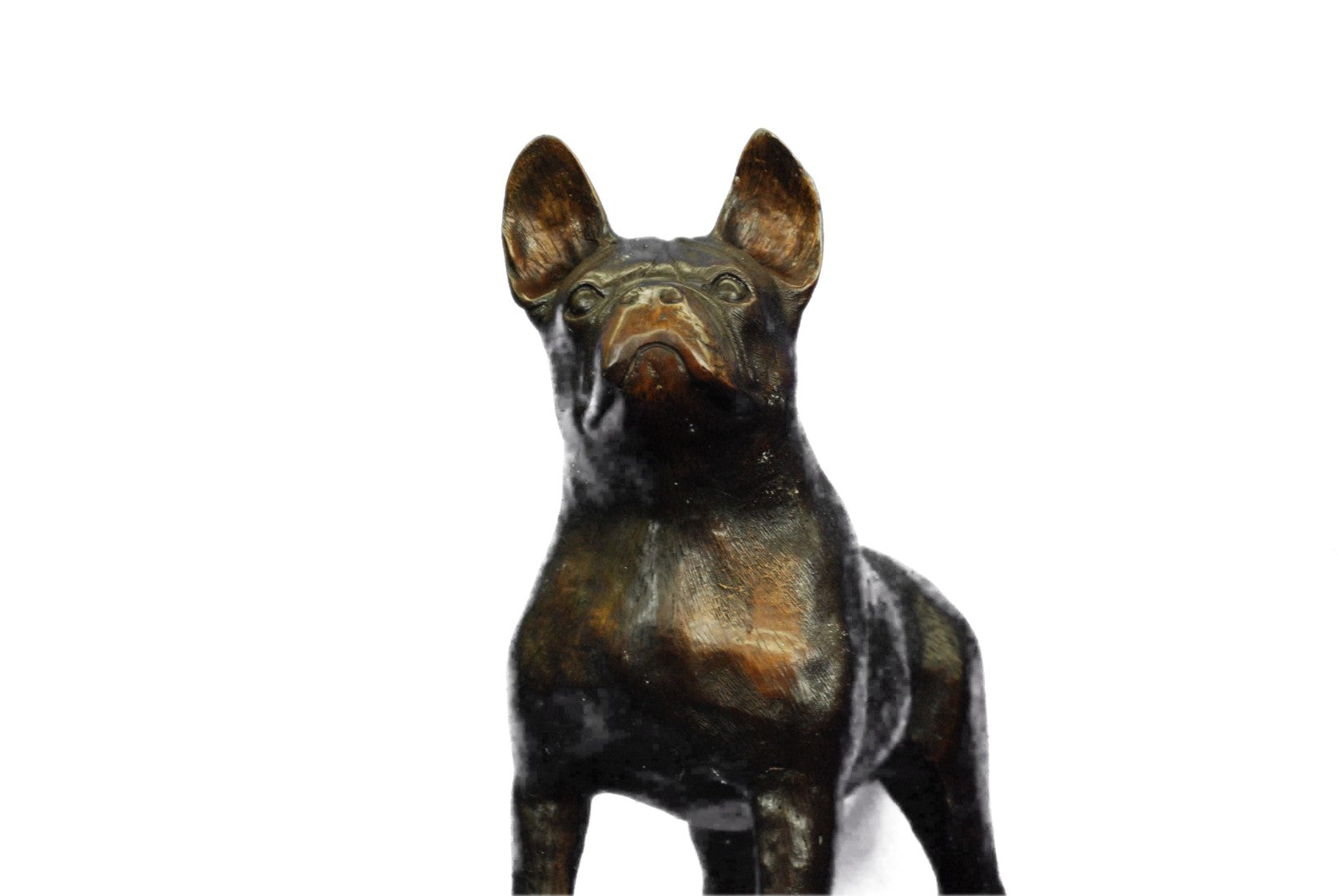 Bronze English Bull Dog Statue Sculpture Bulldog Art Yale Georgetown Mascot LRGE