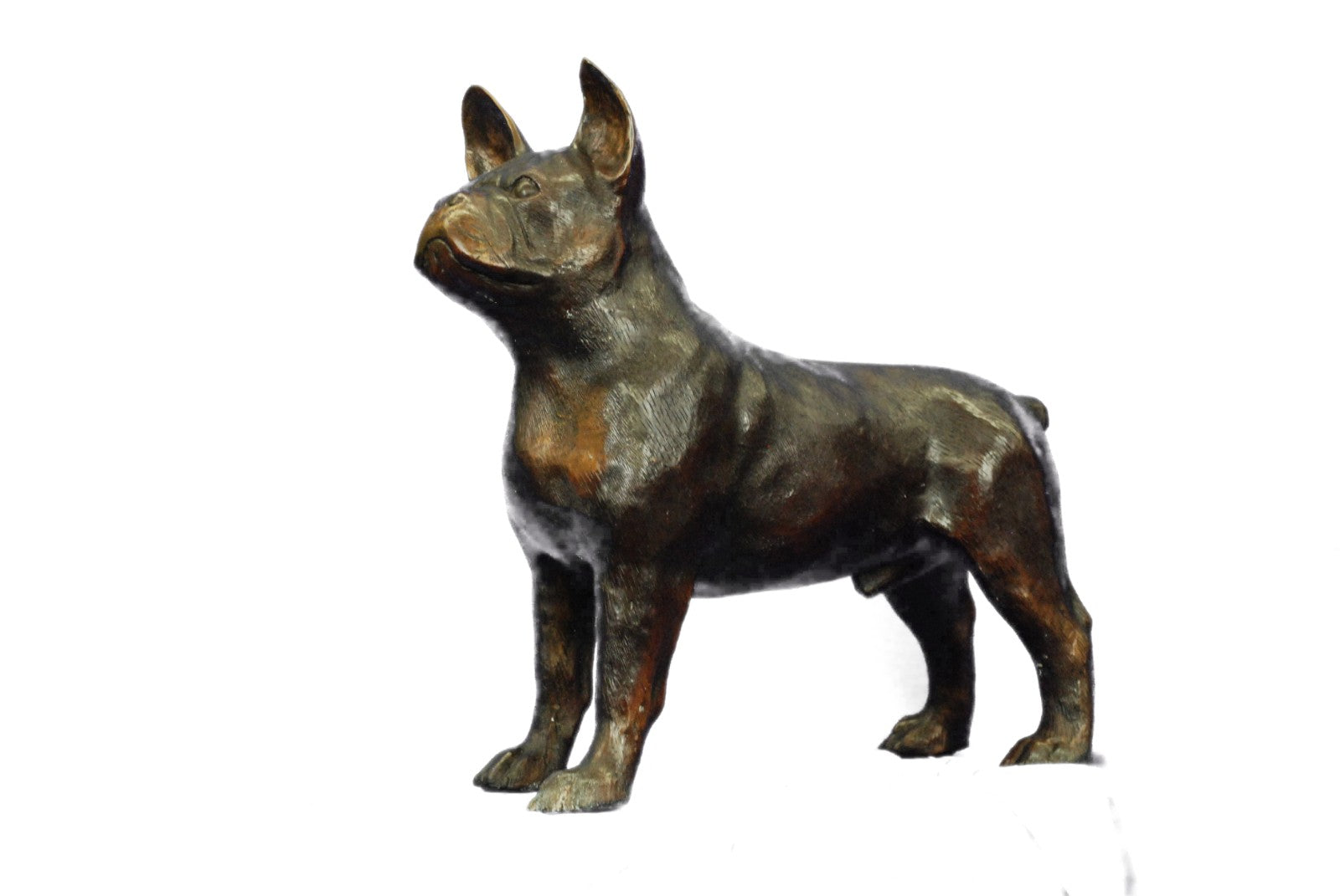 Bronze English Bull Dog Statue Sculpture Bulldog Art Yale Georgetown Mascot LRGE