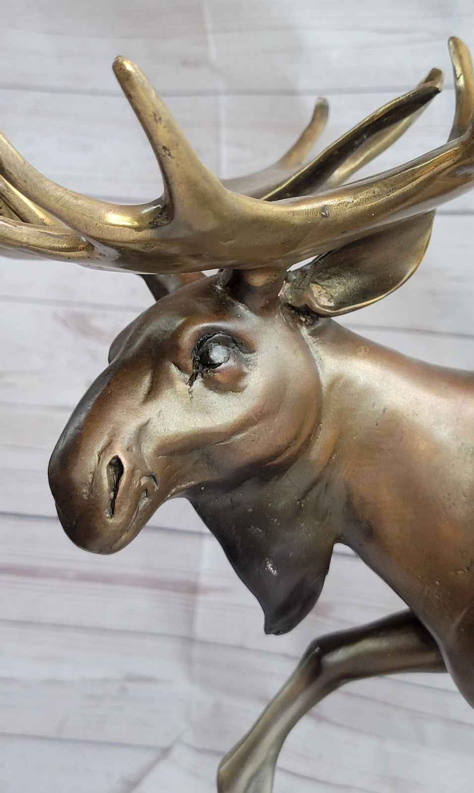 Great Detailed Moose Bronze Sculpture Home/Cabin/Office Decoration Decor Sale