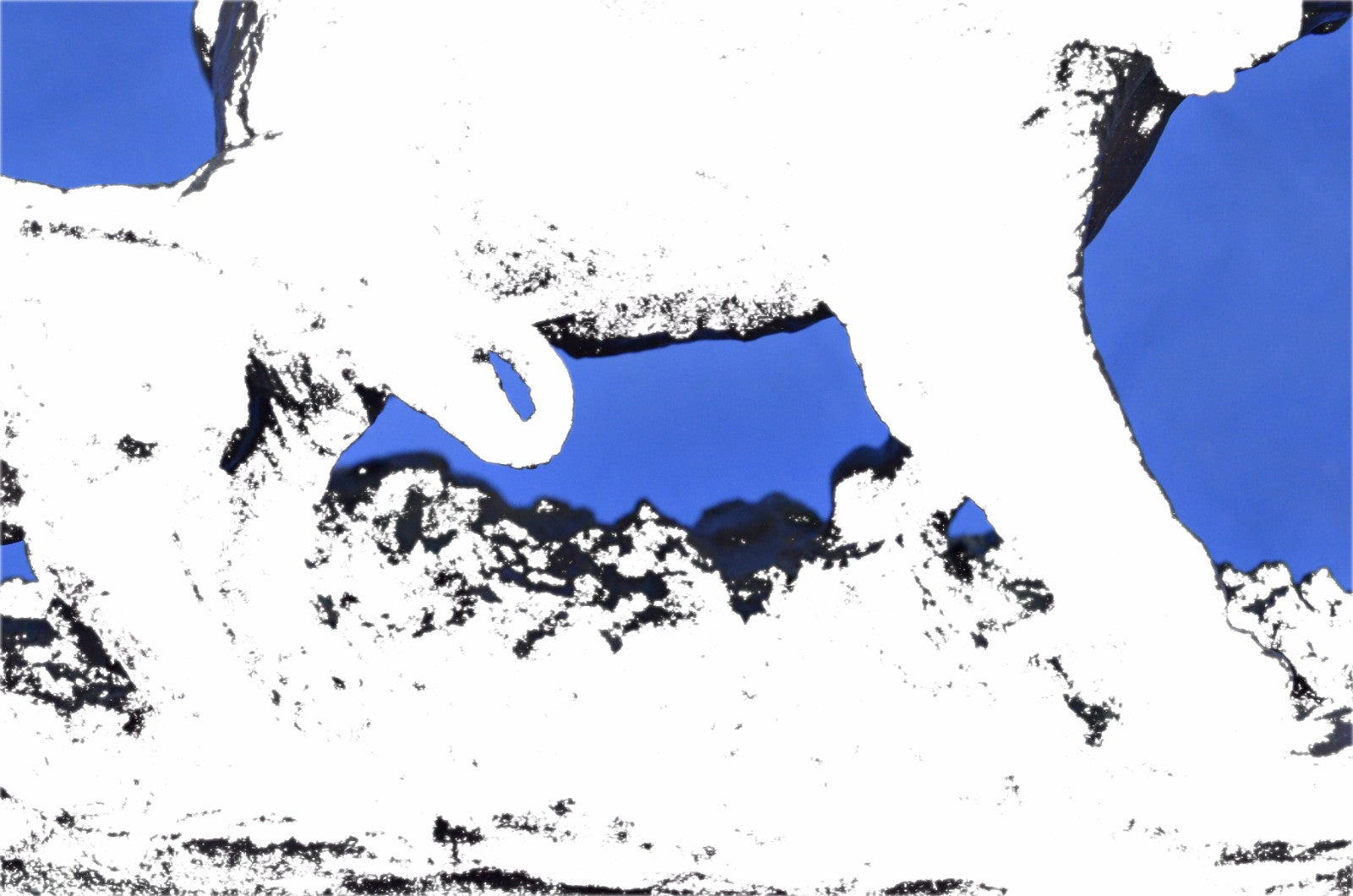 Signed 17 LBS African Elephants Bronze Sculpture Art Deco Hot cast Figurine Sale