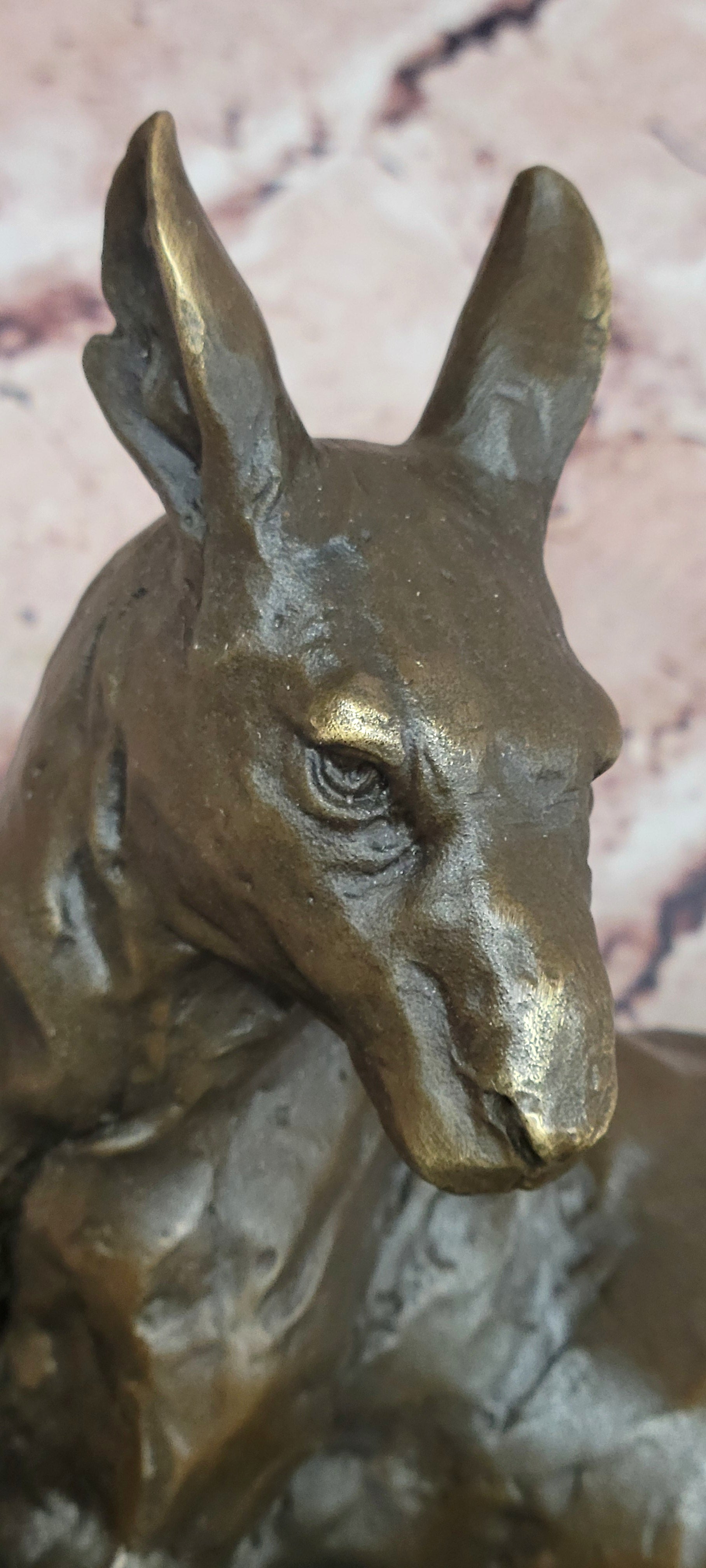 Premium Bronze Kangaroo Statue Signed Cesaro Modern Wildlife Artwork