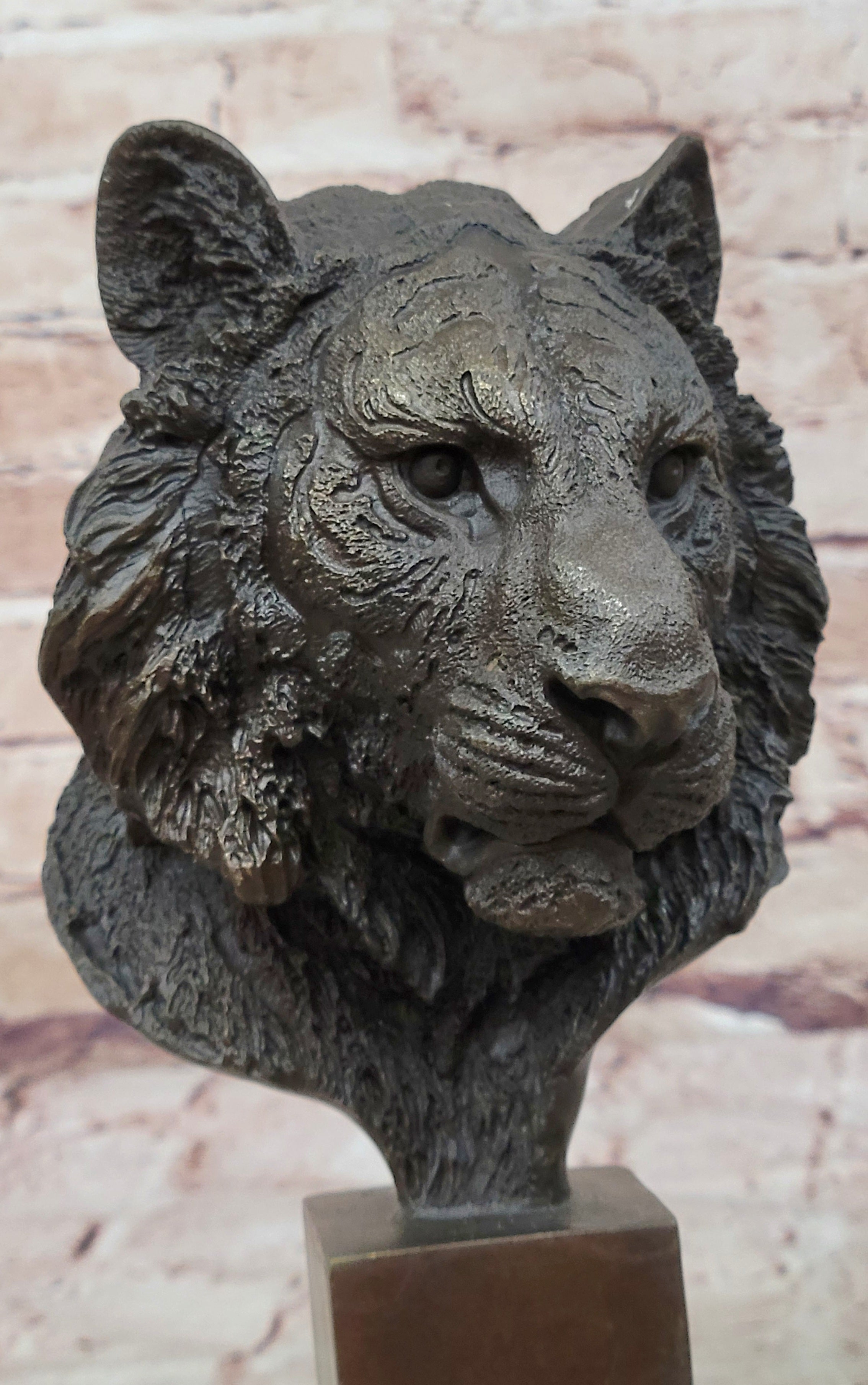 10" Western Art Deco Bronze lions Lion Puma Mountain Cat Bust Sculpture Figurine