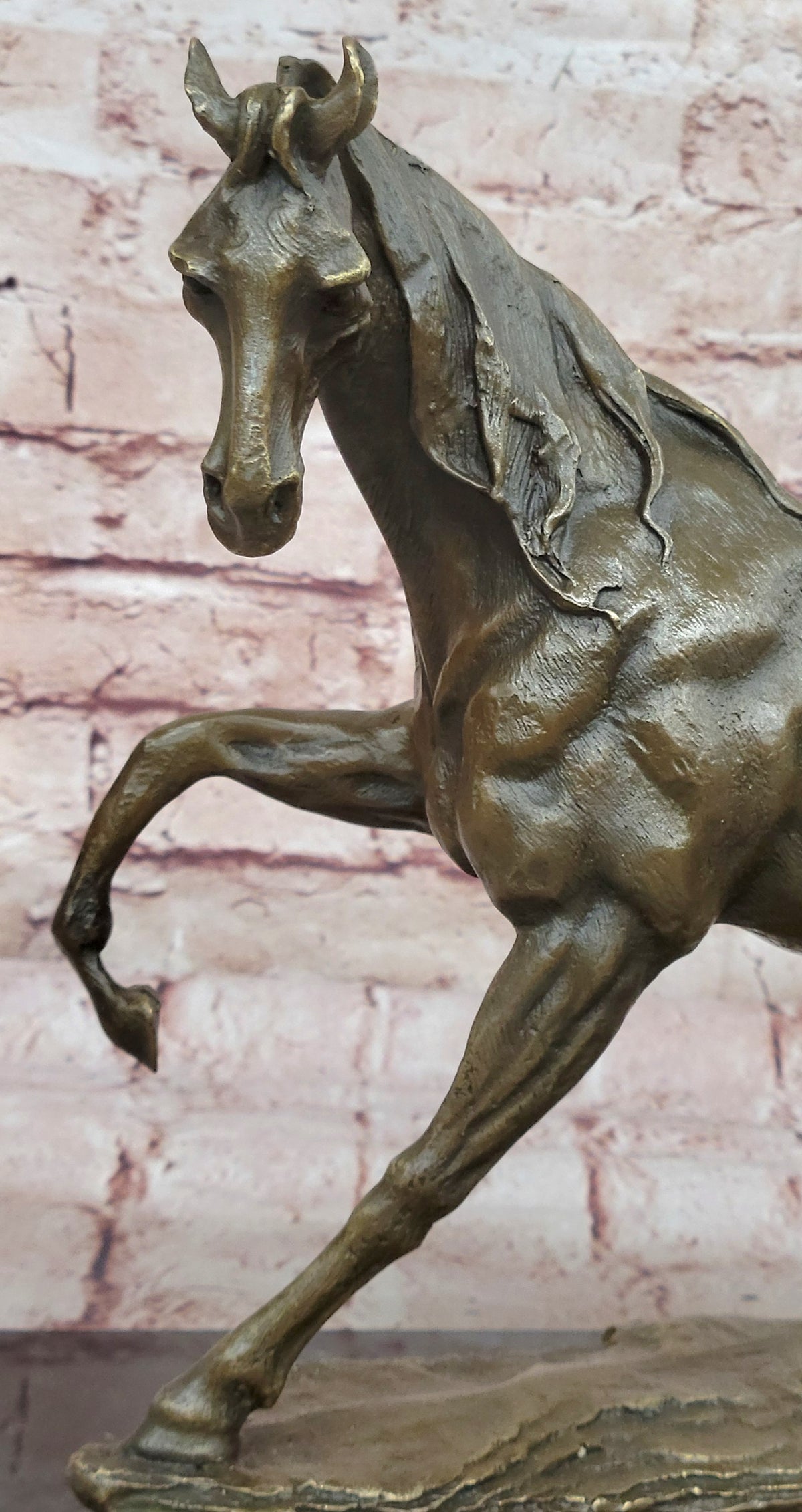 Signed Bronze Arabian Horse Lovers Stallion Sculpture Statue Equestrian