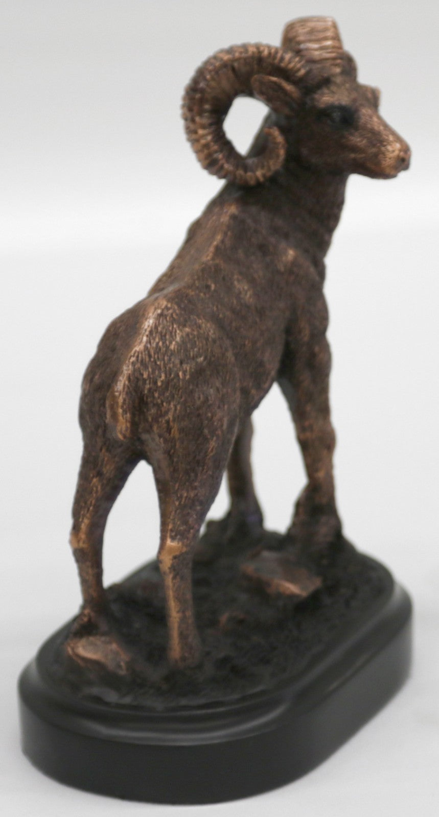 Bronze Resin Ram Goat Head w/ Horns - Pedestal Statue Bust Black Stand