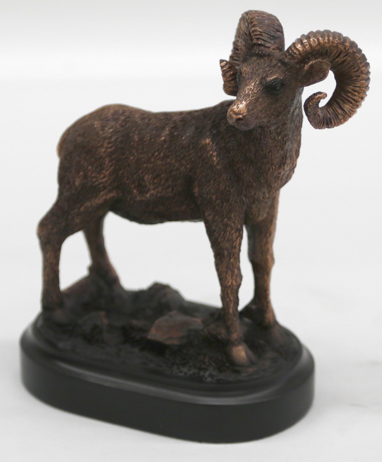 Bronze Resin Ram Goat Head w/ Horns - Pedestal Statue Bust Black Stand