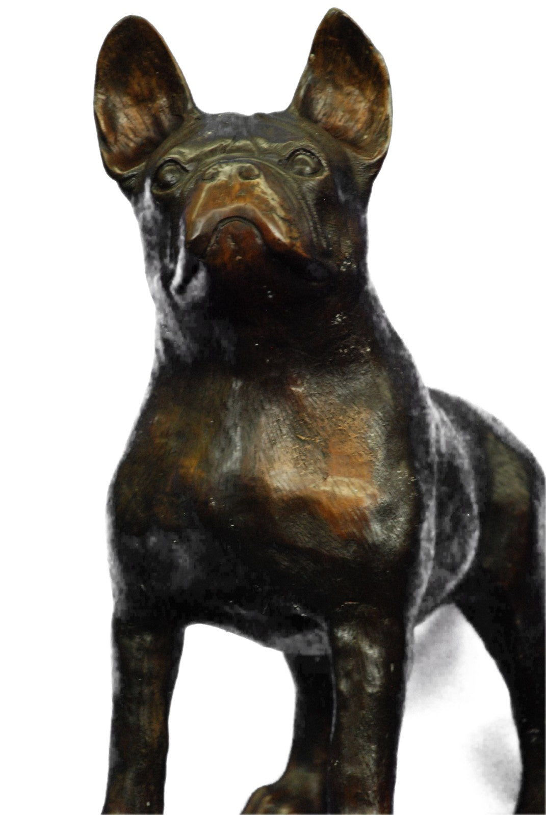 Bronze English Bull Dog Statue Sculpture Bulldog Art Yale Georgetown Mascot LRGE