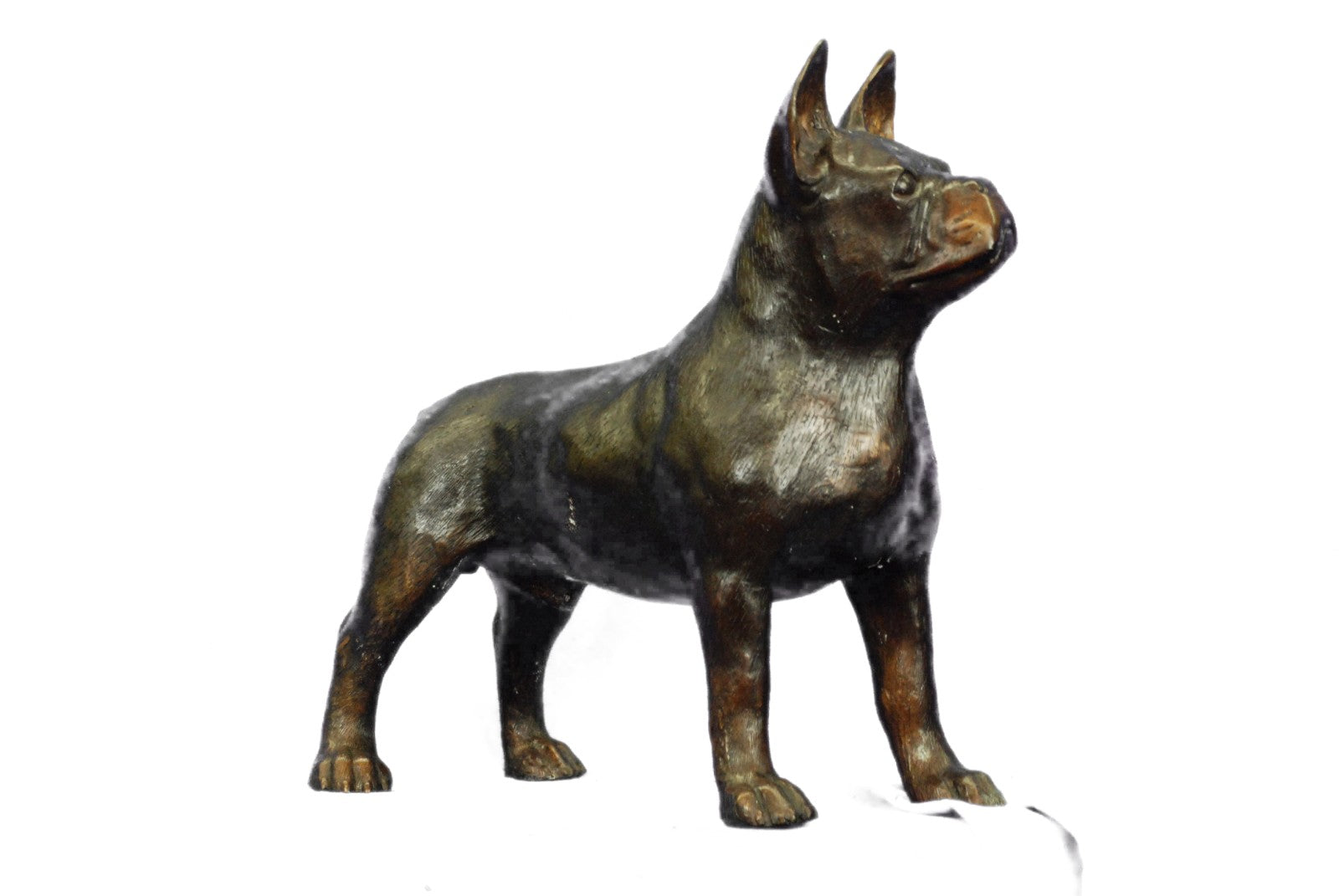 Bronze English Bull Dog Statue Sculpture Bulldog Art Yale Georgetown Mascot LRGE
