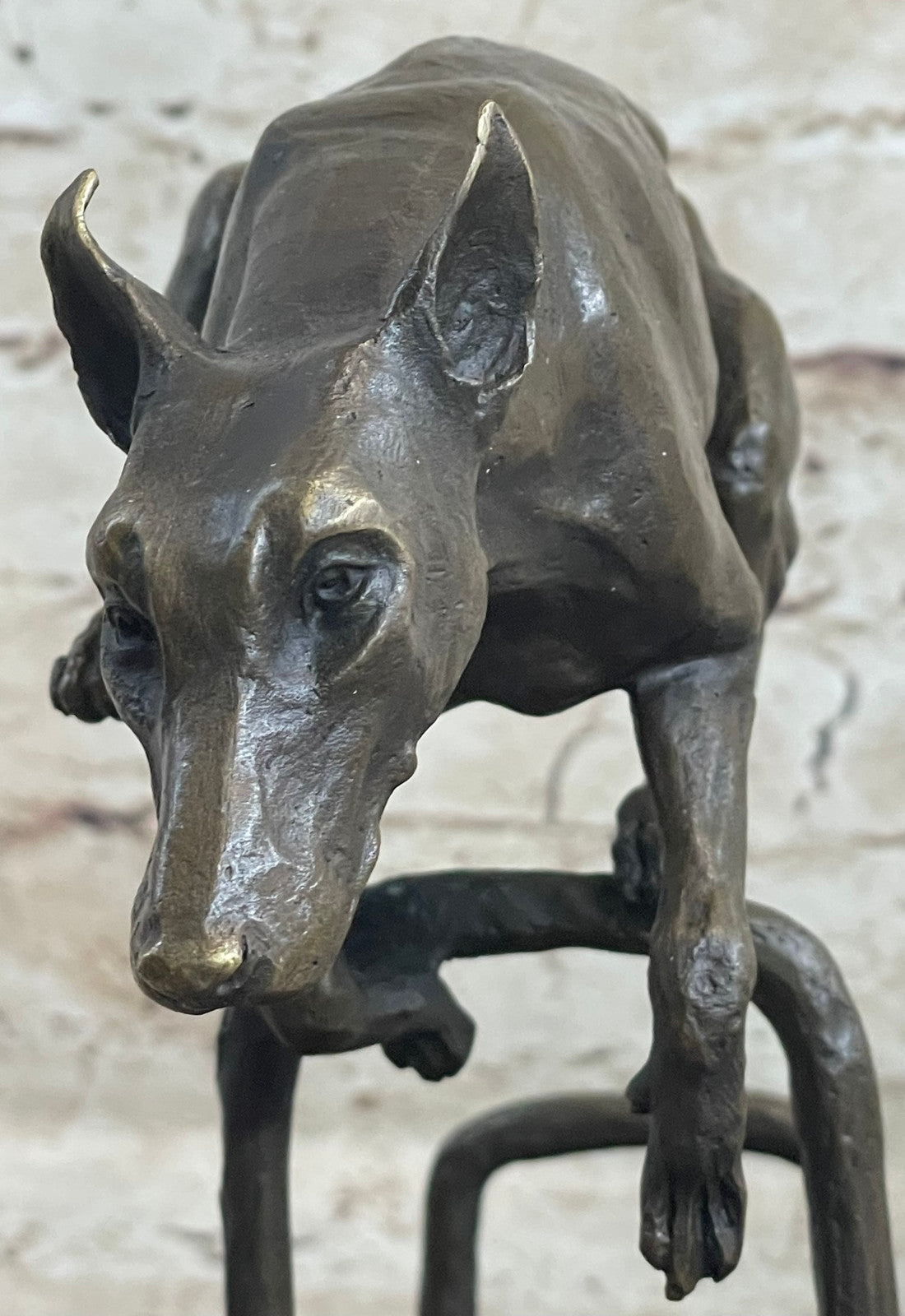 Doberman Genuine Bronze figurine dog art bronze from Spain Lost Wax Method Figurine
