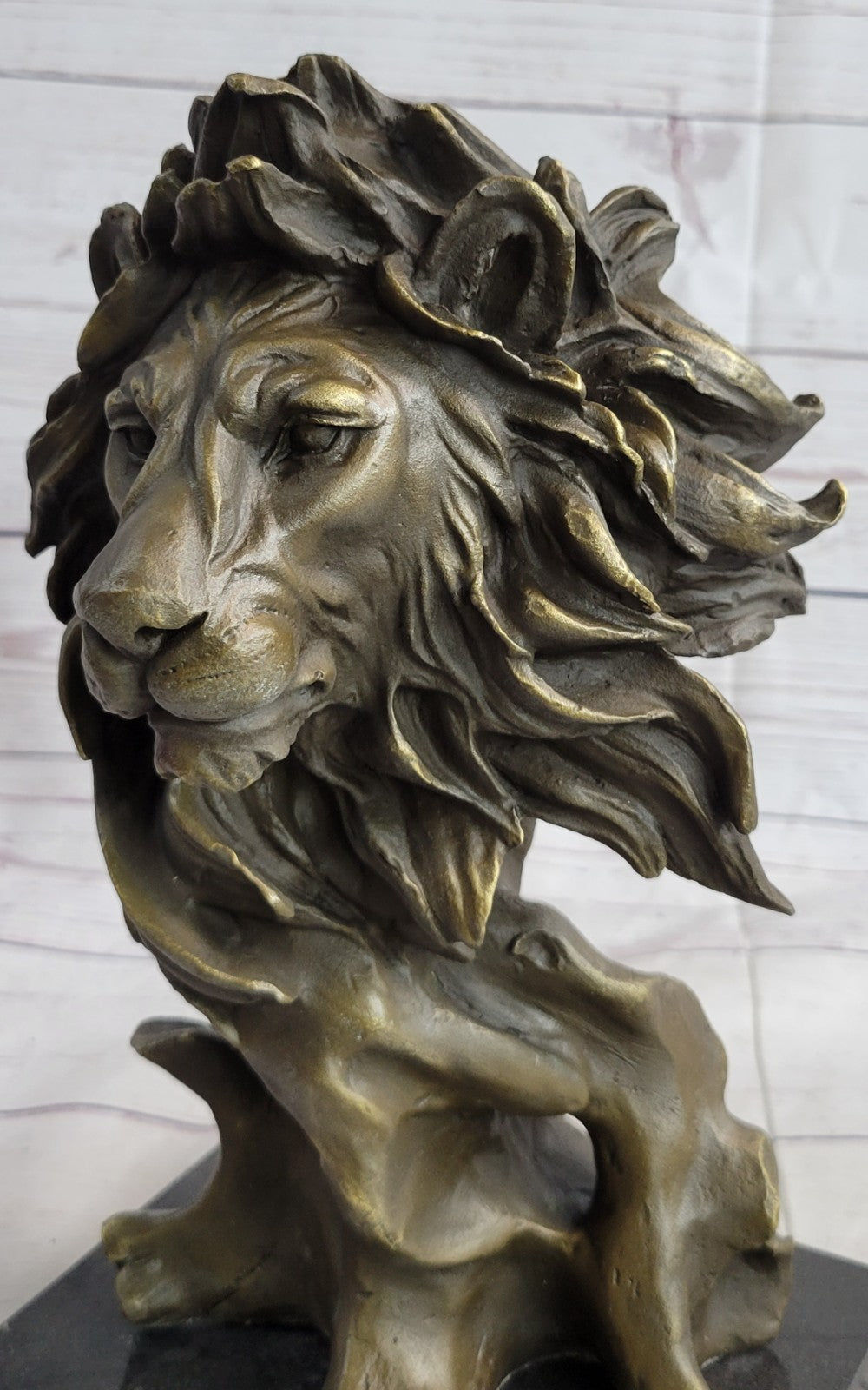 European Bronze Foo Fu Dog Guardion Door African Lion Leo Head Mask Statue