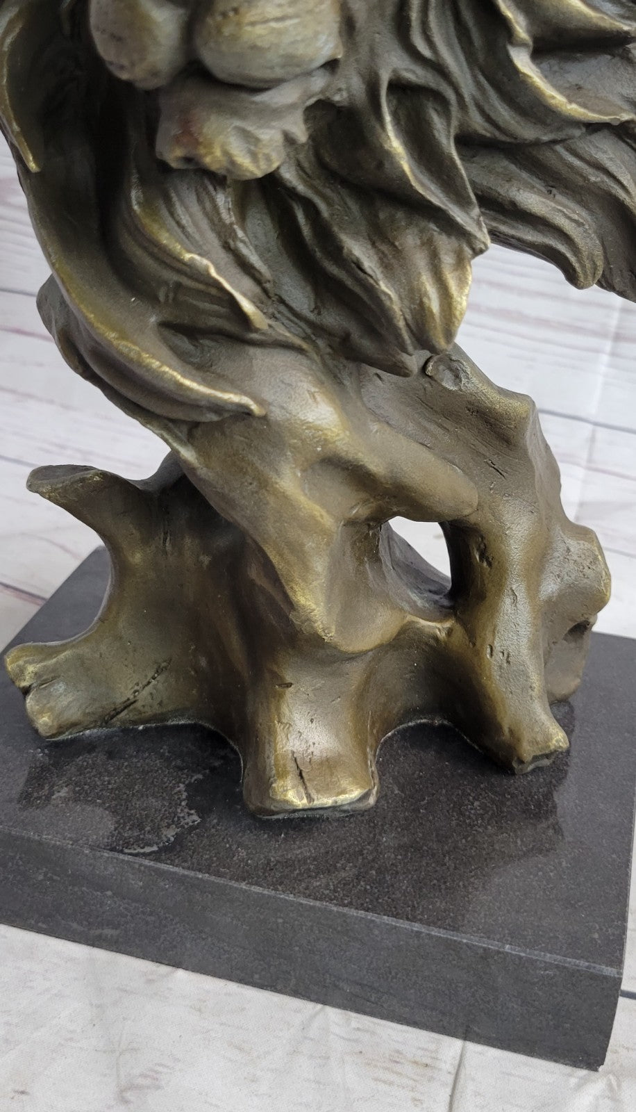 European Bronze Foo Fu Dog Guardion Door African Lion Leo Head Mask Statue