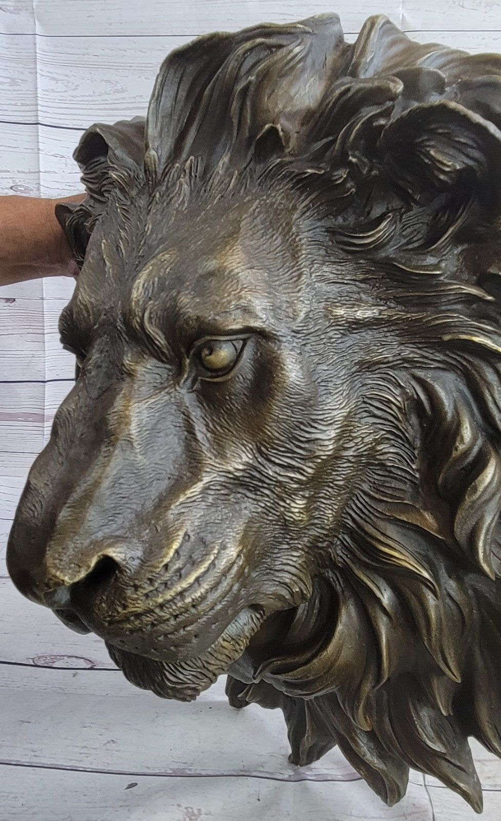 The huge Lion head flat bronze sculpture statue The art hanging wall H"18.1